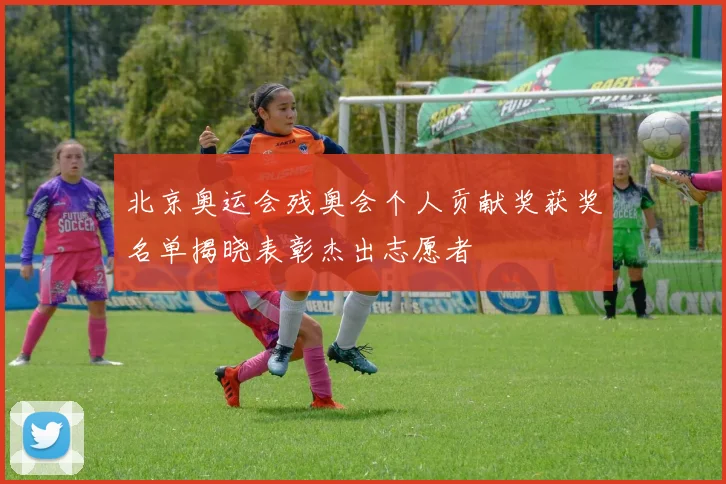 北京奥运会残奥会个人贡献奖获奖名单揭晓表彰杰出志愿者